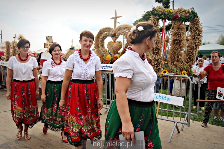 Dożynki 2018 gminy Padew Narodowa w miejscowości Domacyny