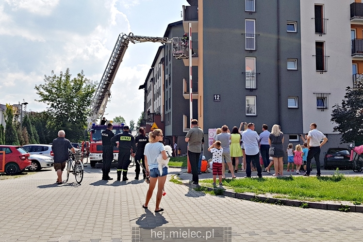 Straż pożarna uchroniła pozostawionego na balkonie pieska