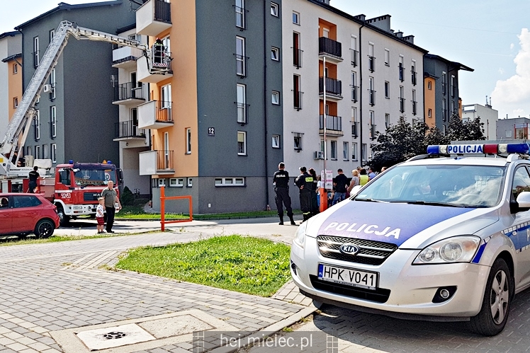 Straż pożarna uchroniła pozostawionego na balkonie pieska