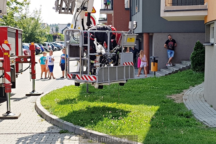 Straż pożarna uchroniła pozostawionego na balkonie pieska