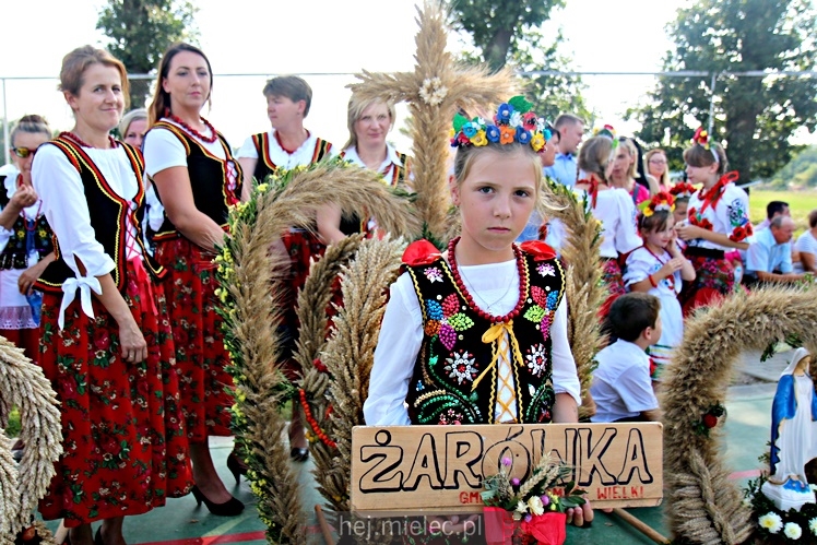 Dożynki 2018 w Janowcu - gmina Radomyśl Wielki
