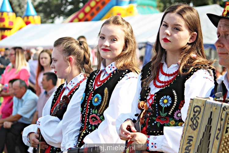 Dożynki 2018 w Janowcu - gmina Radomyśl Wielki
