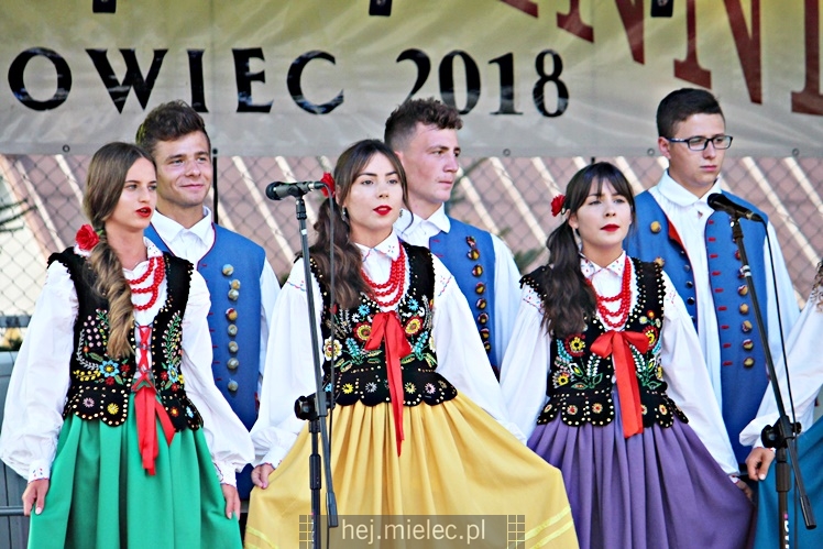 Dożynki 2018 w Janowcu - gmina Radomyśl Wielki