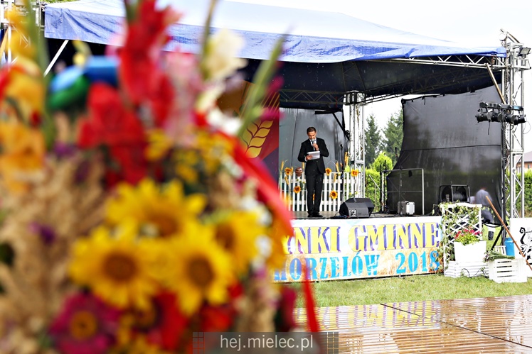 Dożynki 2018 w Chorzelowie - gmina Mielec
