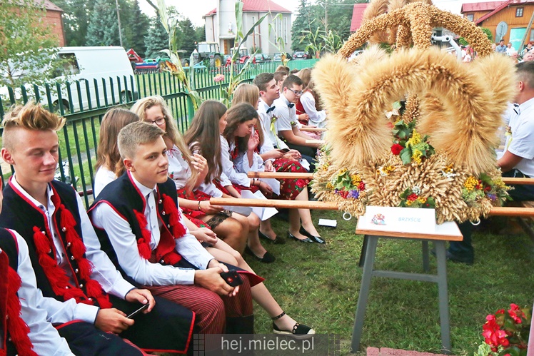 Dożynki 2018 w Brzyściu - gmina Gawłuszowice