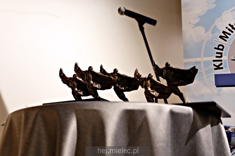 VIII Spotkania Lotniczych Pokoleń