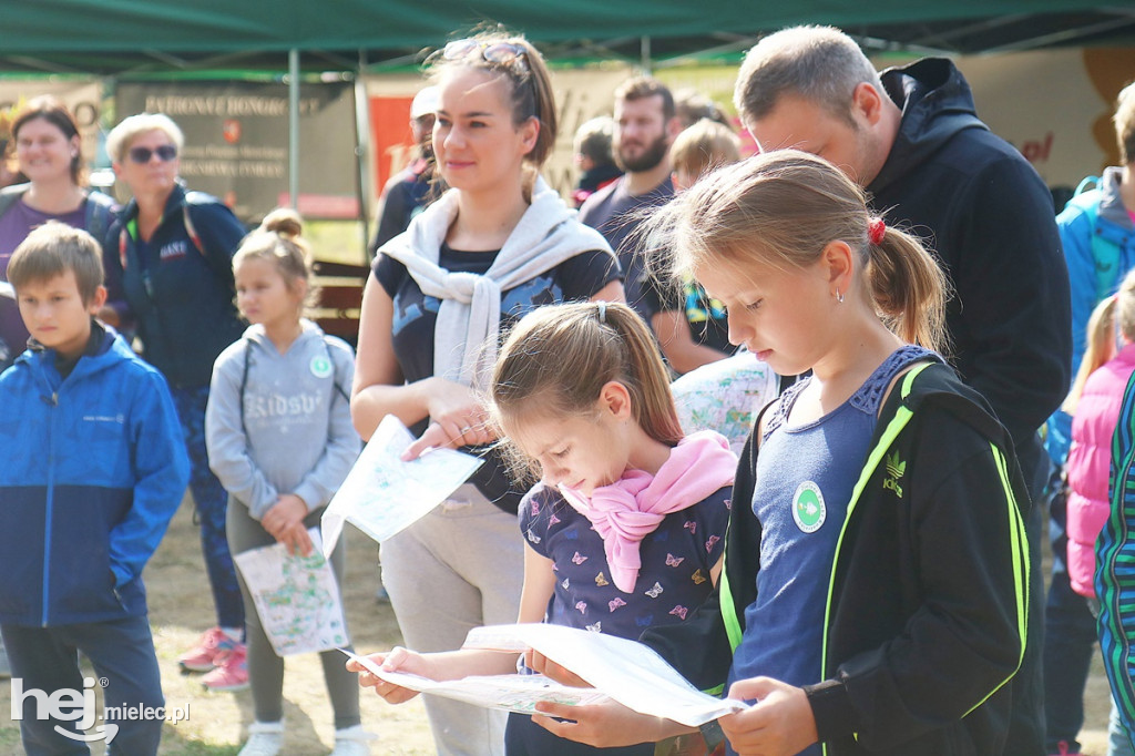 Zielony Punkt Kontrolny 2018