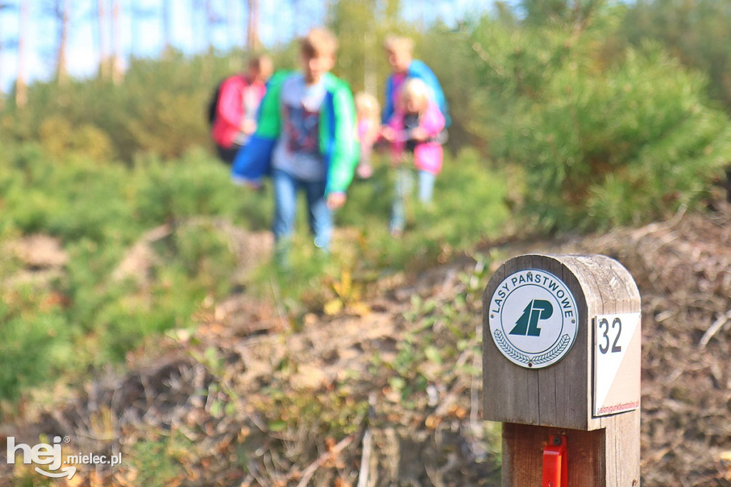 Zielony Punkt Kontrolny 2018