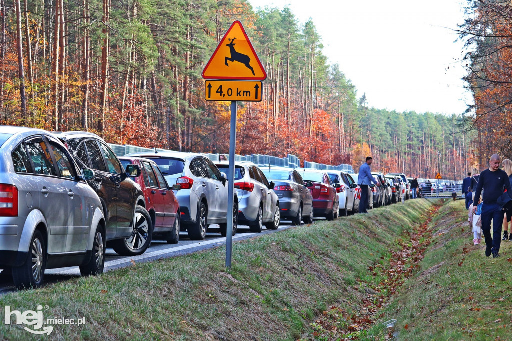 Uroczystość Wszystkich Świętych 2018 w Mielcu