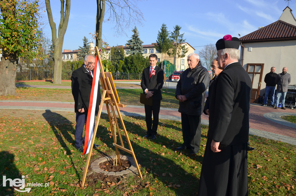 Święto Niepodległości w gminie Mielec