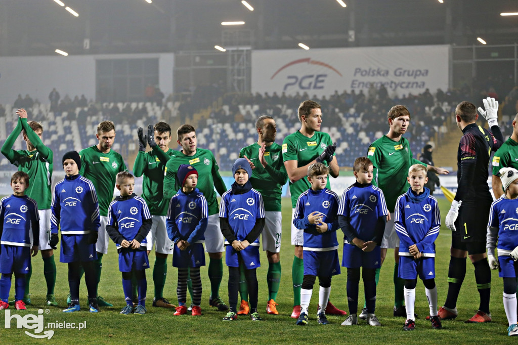 PGE FKS Stal Mielec - Warta Poznań