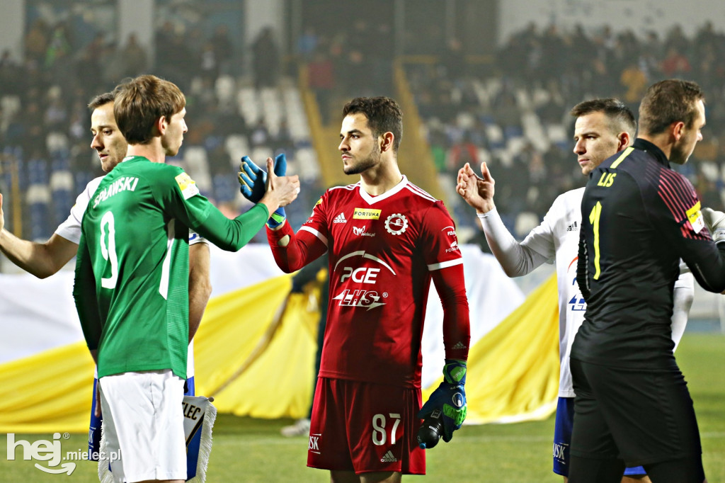 PGE FKS Stal Mielec - Warta Poznań