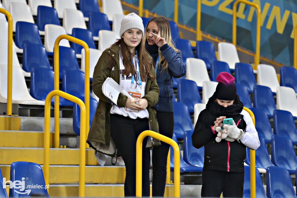 PGE FKS Stal Mielec - Warta Poznań