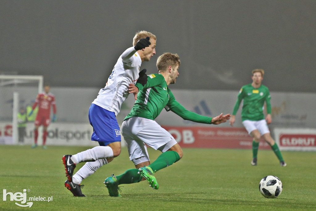PGE FKS Stal Mielec - Warta Poznań