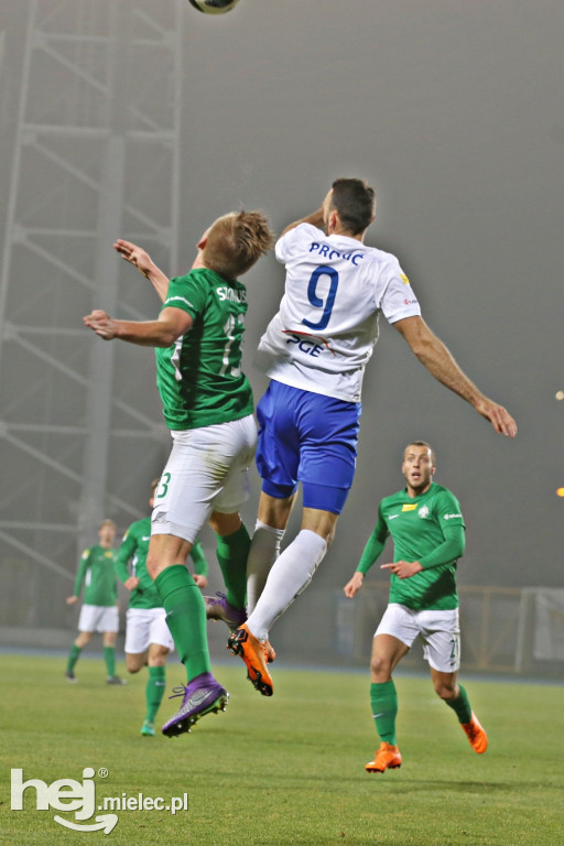 PGE FKS Stal Mielec - Warta Poznań