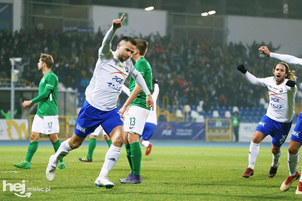 PGE FKS Stal Mielec - Warta Poznań