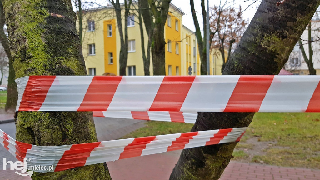 Zawiadomienie o bombie w centrum miasta