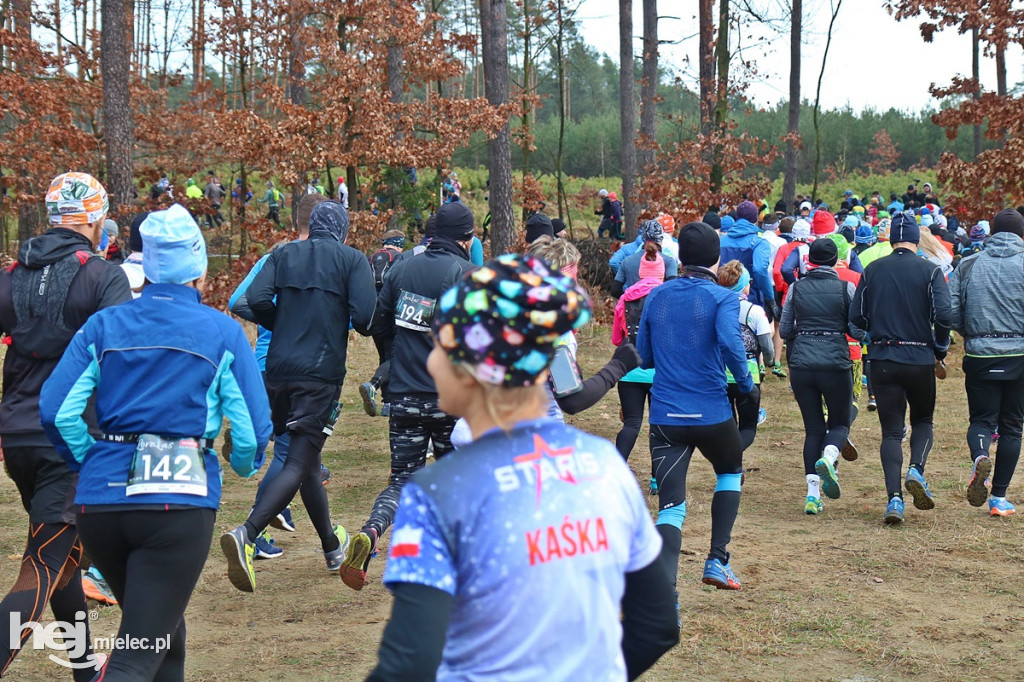 LoveLas Colfarm Półmaraton 2018