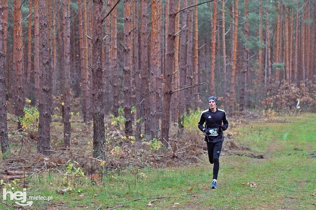 LoveLas Colfarm Półmaraton 2018