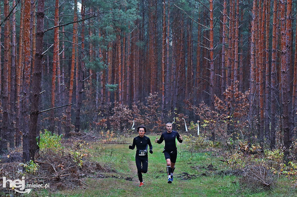 LoveLas Colfarm Półmaraton 2018