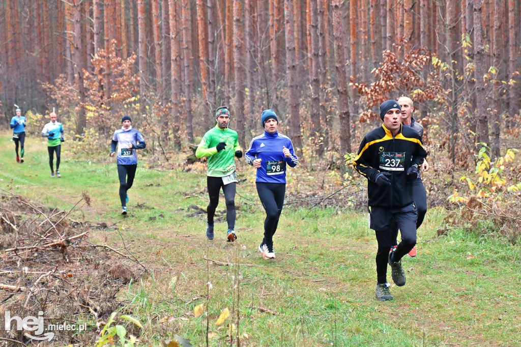 LoveLas Colfarm Półmaraton 2018