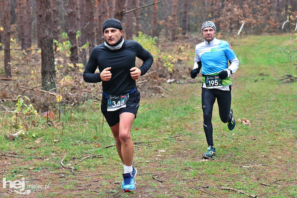 LoveLas Colfarm Półmaraton 2018