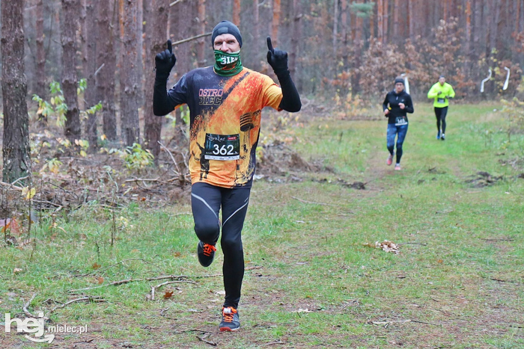 LoveLas Colfarm Półmaraton 2018