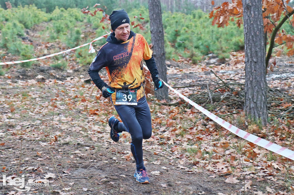 LoveLas Colfarm Półmaraton 2018