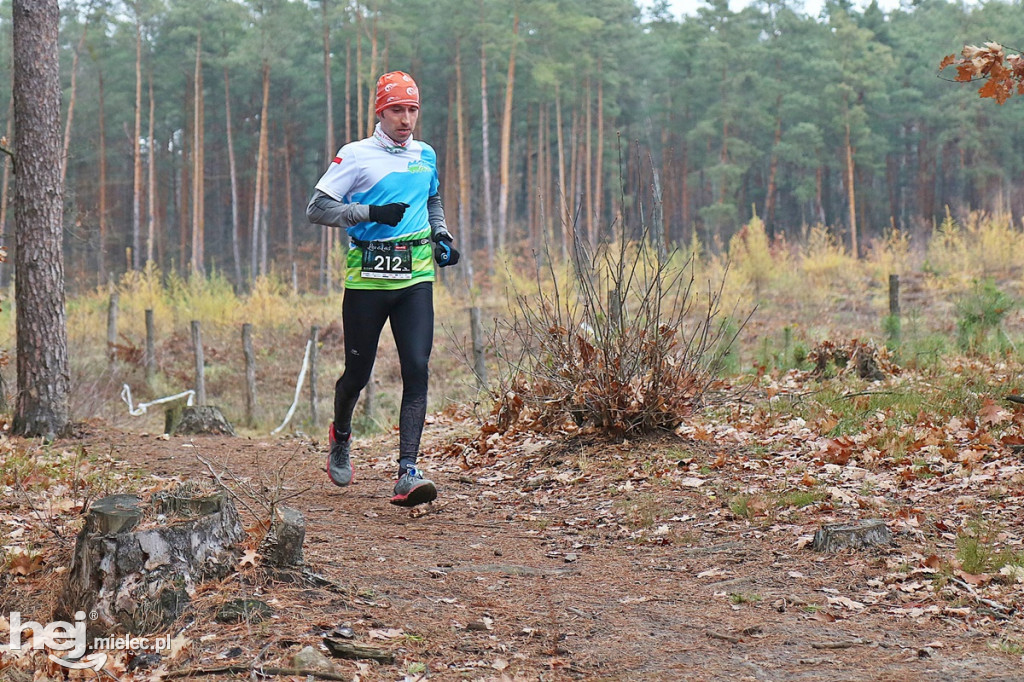 LoveLas Colfarm Półmaraton 2018