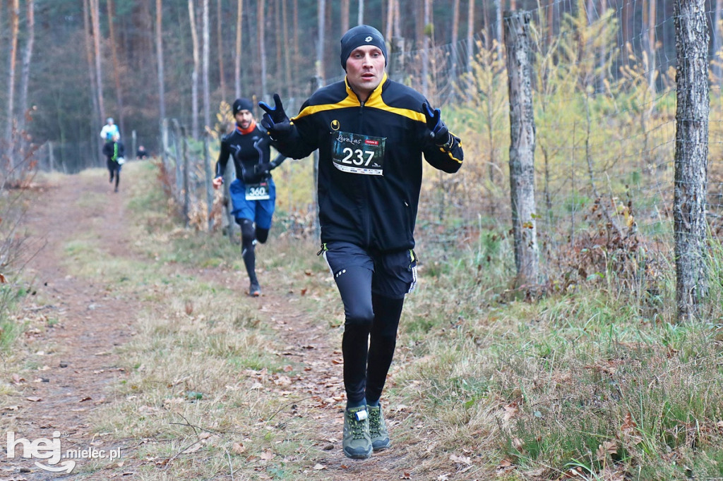 LoveLas Colfarm Półmaraton 2018