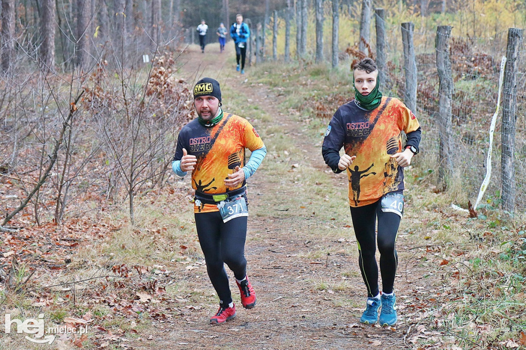 LoveLas Colfarm Półmaraton 2018