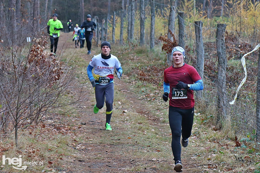 LoveLas Colfarm Półmaraton 2018