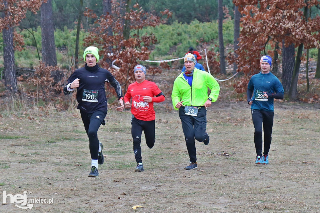 LoveLas Colfarm Półmaraton 2018