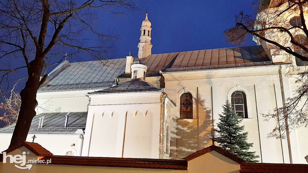 Prace konserwatorskie w bazylice