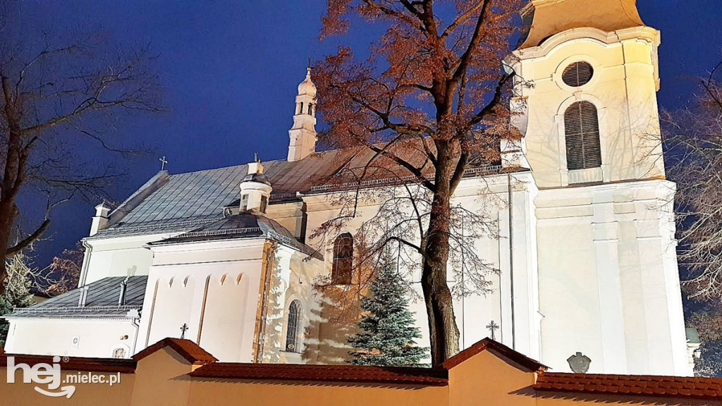 Prace konserwatorskie w bazylice