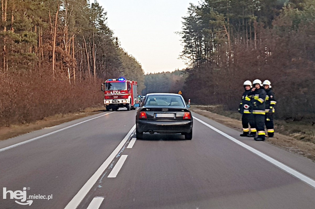 Wypadek na drodze Mielec - Kolbuszowa