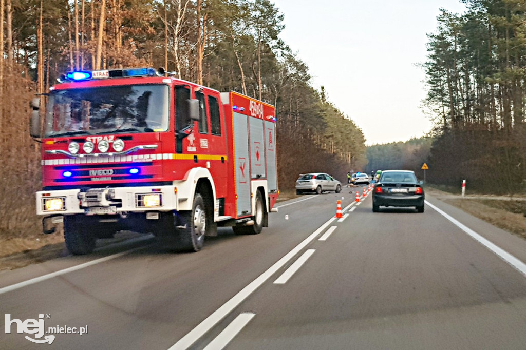 Wypadek na drodze Mielec - Kolbuszowa