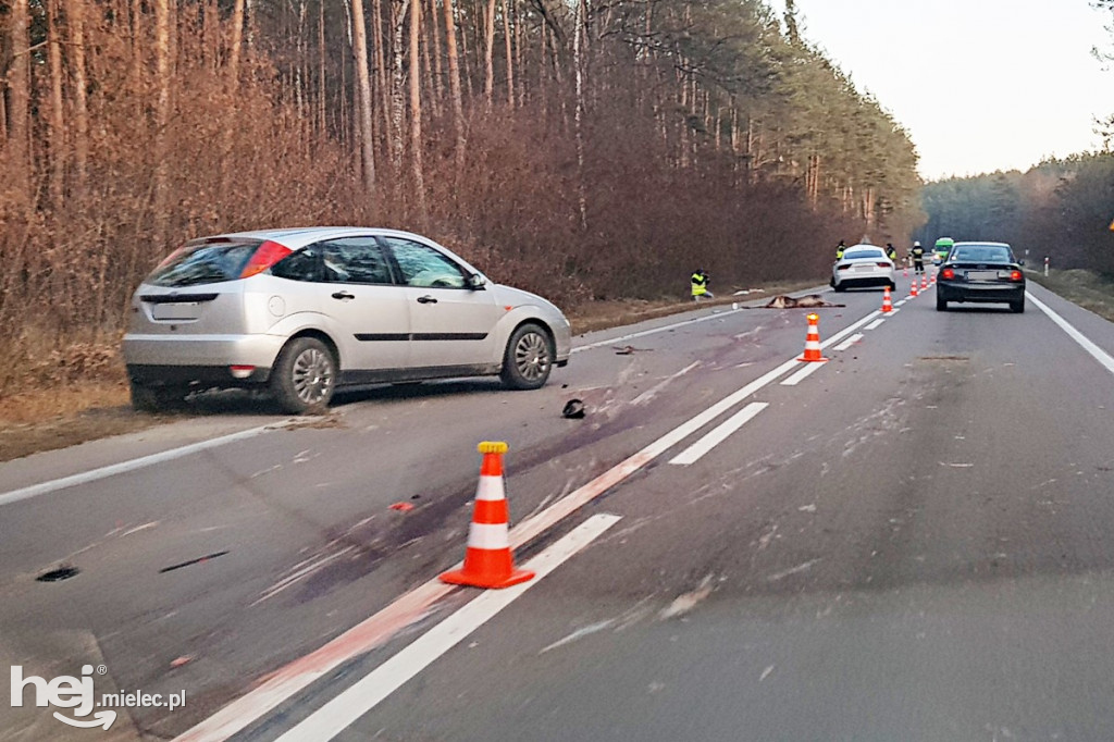 Wypadek na drodze Mielec - Kolbuszowa