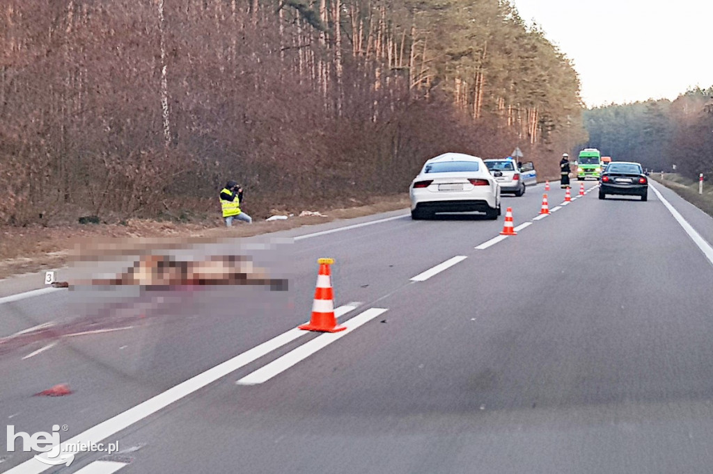 Wypadek na drodze Mielec - Kolbuszowa