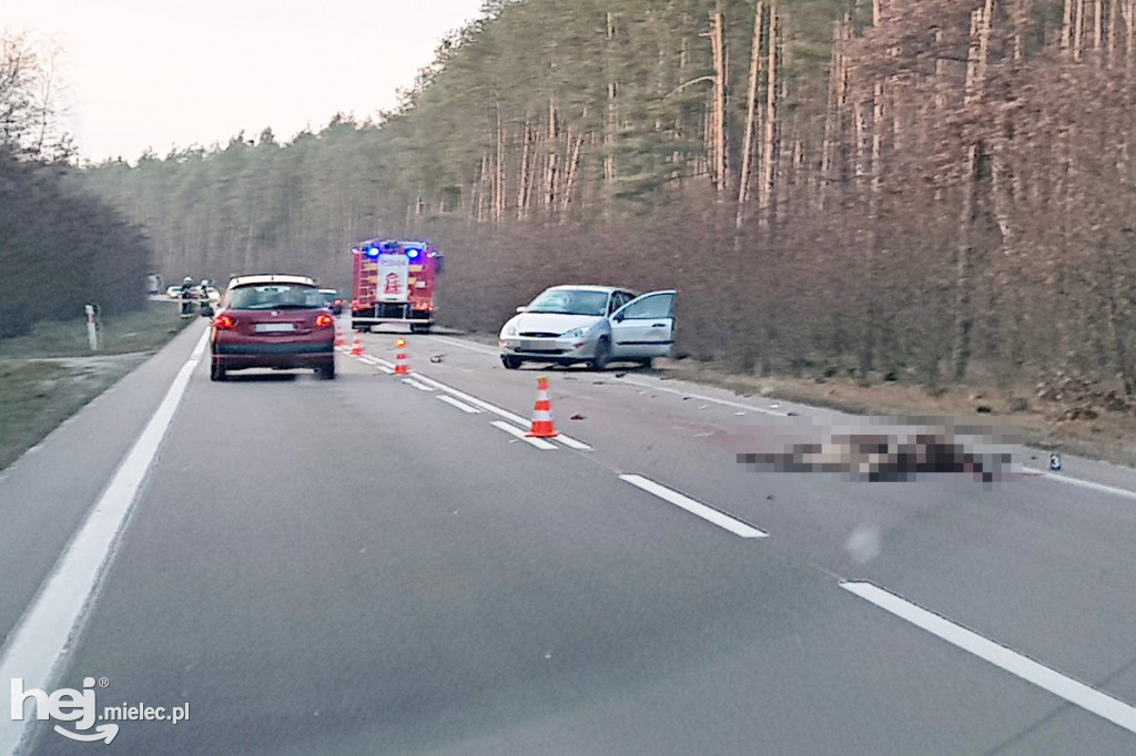 Wypadek na drodze Mielec - Kolbuszowa