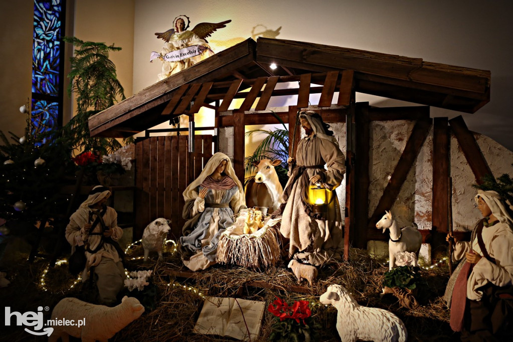 Parafii pięć, żłóbków osiem! Zobacz zdjęcia mieleckich szopek!