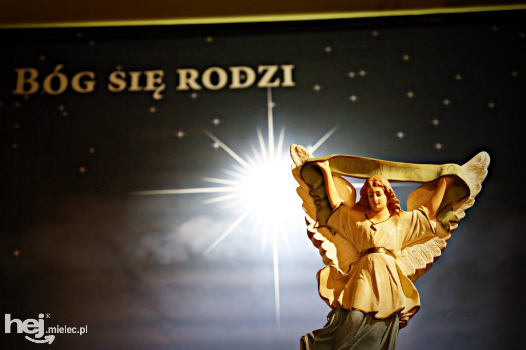 Parafii pięć, żłóbków osiem! Zobacz zdjęcia mieleckich szopek!
