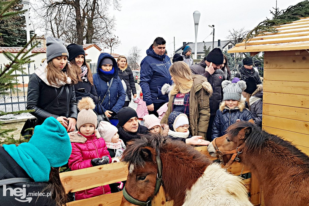 Parafii pięć, żłóbków osiem! Zobacz zdjęcia mieleckich szopek!