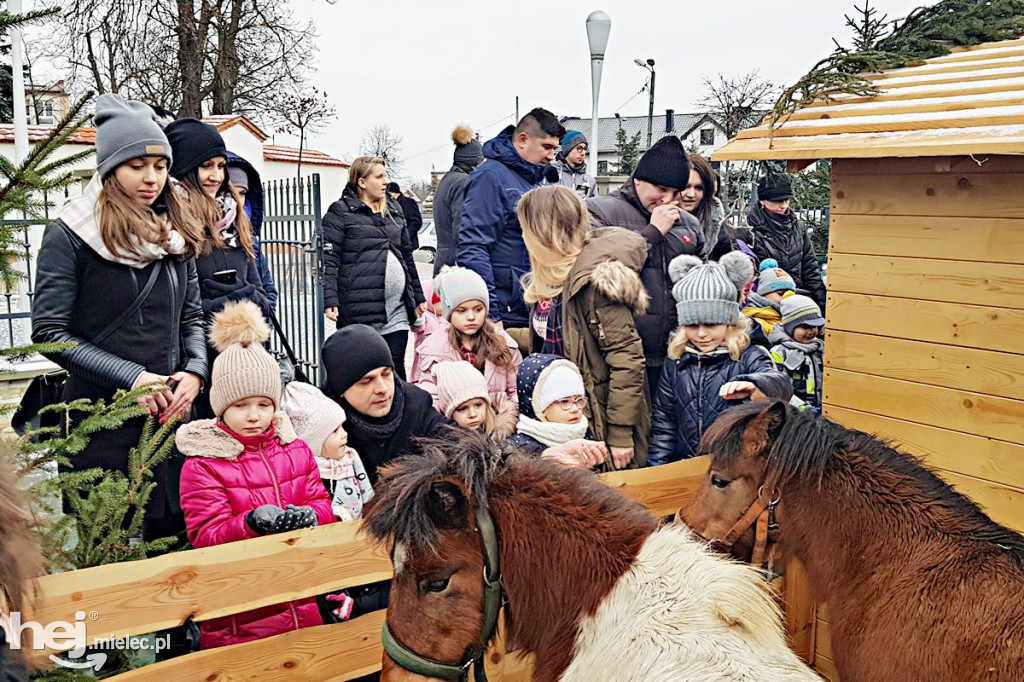 Parafii pięć, żłóbków osiem! Zobacz zdjęcia mieleckich szopek!