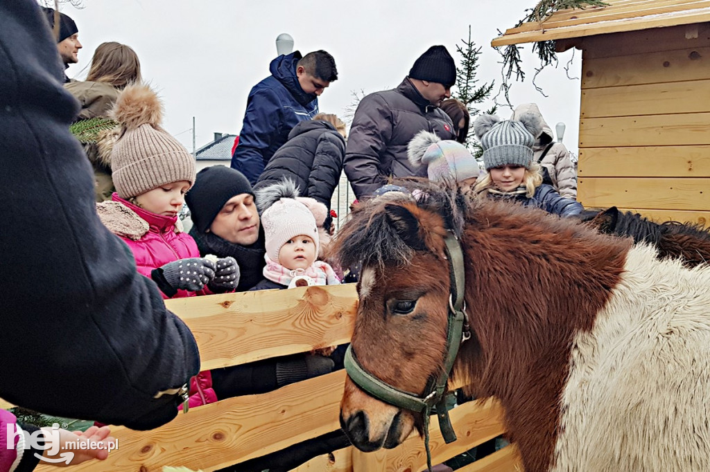 Parafii pięć, żłóbków osiem! Zobacz zdjęcia mieleckich szopek!