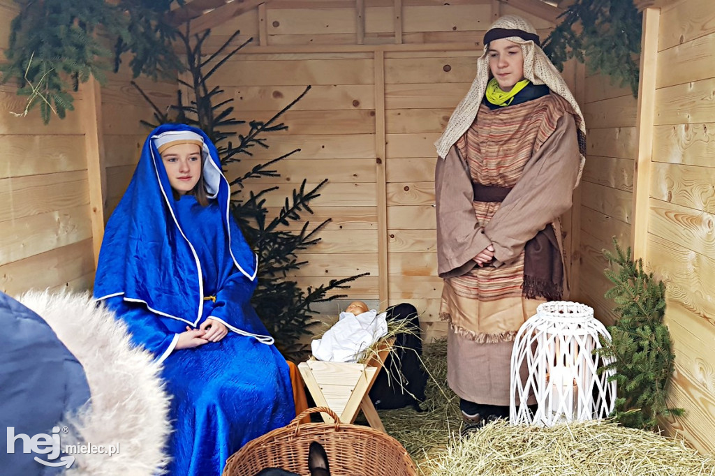 Parafii pięć, żłóbków osiem! Zobacz zdjęcia mieleckich szopek!