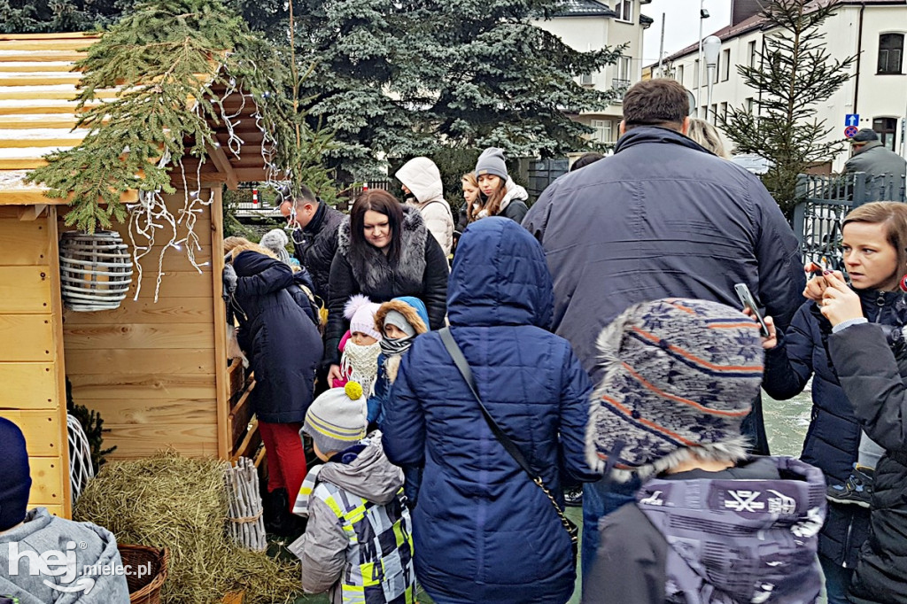 Parafii pięć, żłóbków osiem! Zobacz zdjęcia mieleckich szopek!