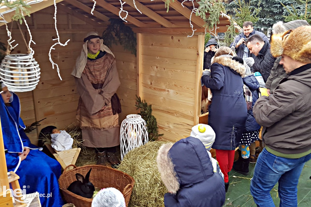 Parafii pięć, żłóbków osiem! Zobacz zdjęcia mieleckich szopek!