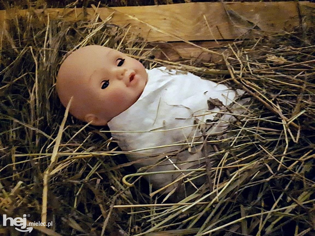 Trzech Króli odwiedziło żywą szopkę w Borkach Nizińskich