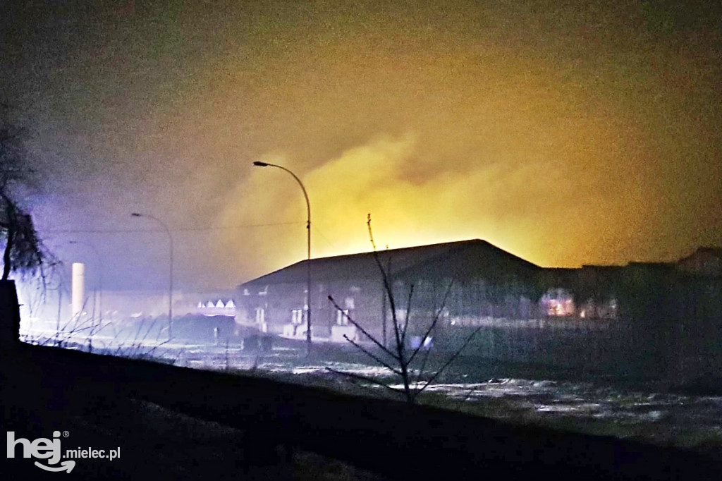 Pożar szklarni przy ul. Traugutta